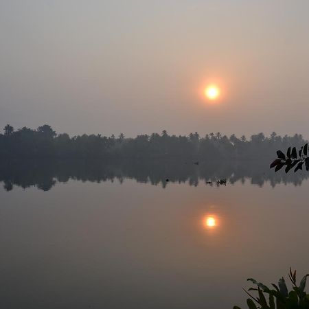 Отель Big Banana Island Retreat North Paravur Экстерьер фото