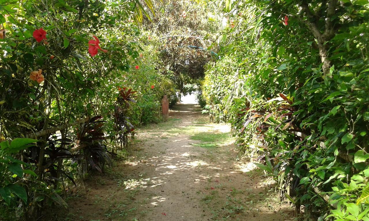 Отель Big Banana Island Retreat North Paravur Экстерьер фото