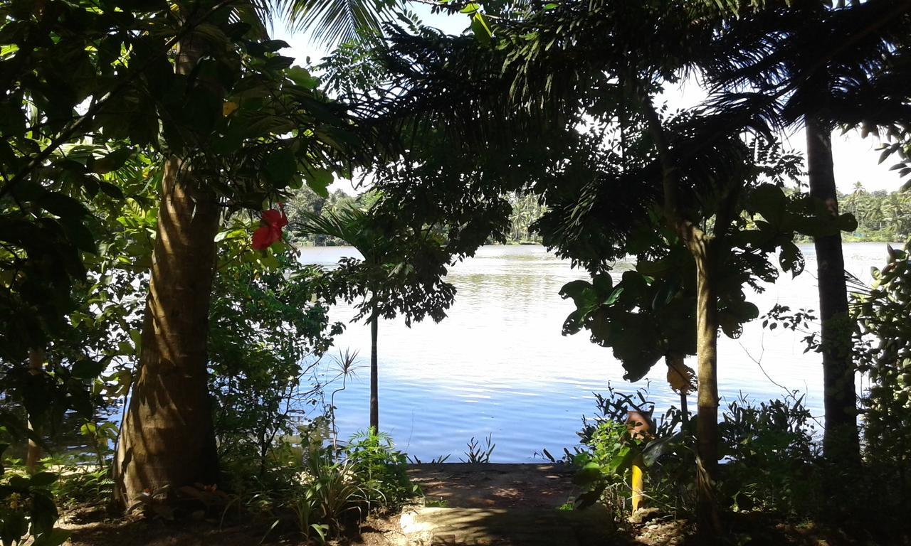 Отель Big Banana Island Retreat North Paravur Экстерьер фото