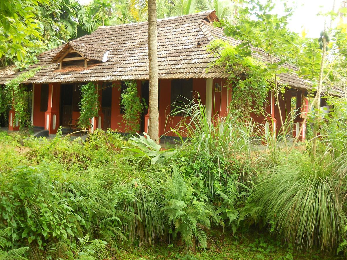 Отель Big Banana Island Retreat North Paravur Экстерьер фото