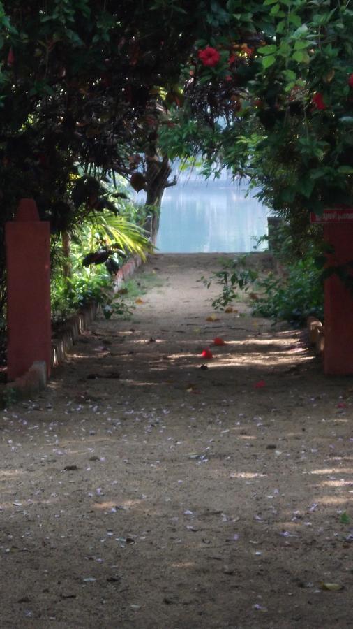 Отель Big Banana Island Retreat North Paravur Экстерьер фото