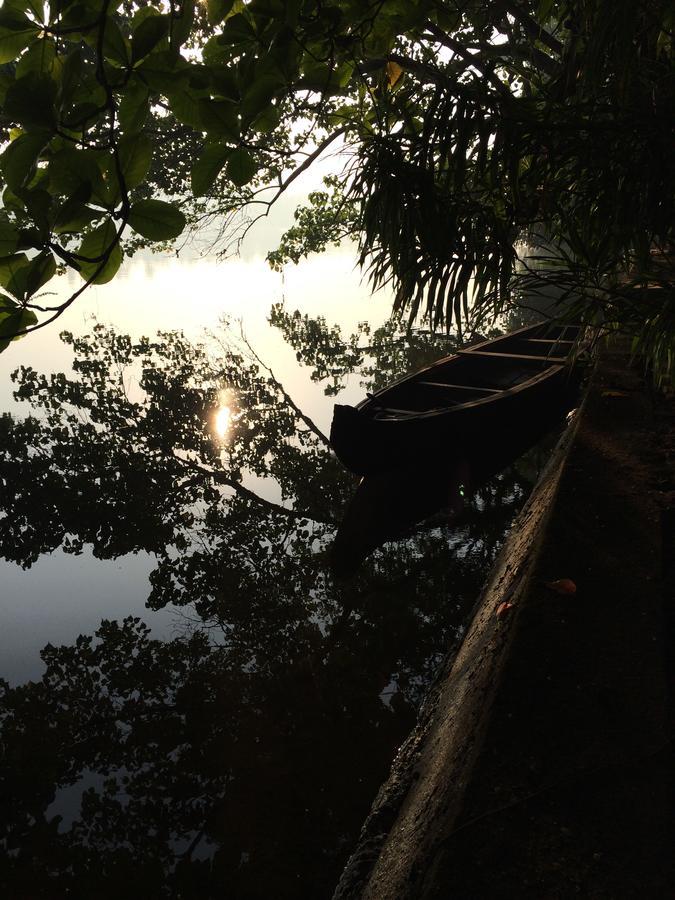 Отель Big Banana Island Retreat North Paravur Экстерьер фото